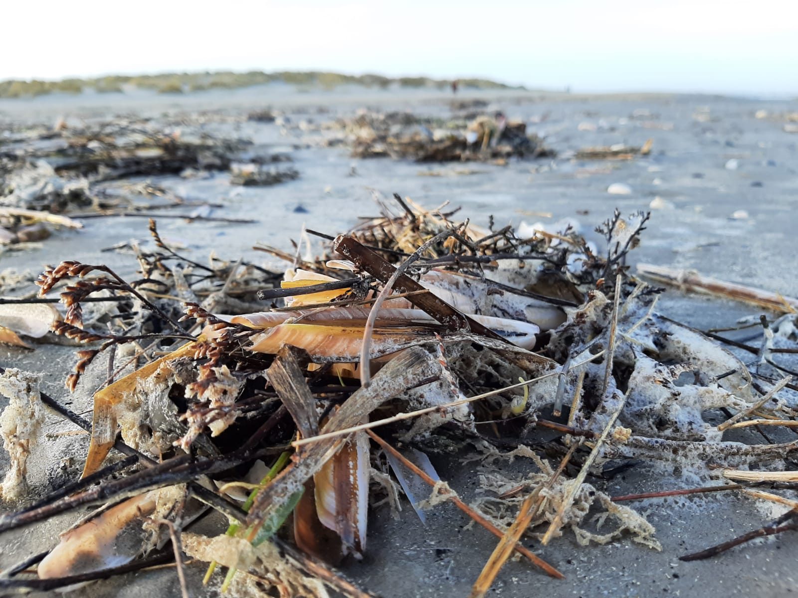 Huisartsenpraktijk Schiermonnikoog